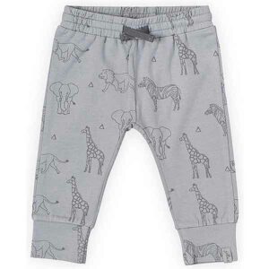 Een leuk grijs broekje met een leuke safariprint van olifanten, zebra's, leeuwen en giraffe. Dit broekje komt uit de collectie van Jollein. Het broekje heeft een elastisch band met een koordje.