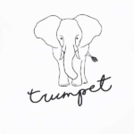 Stoer shirtje met lange mouw in de kleur wit met leuke printopdruk van een olifant. Het shirtje komt uit de collectie Safari Black/White van Jollein. Gmaakt van biologisch katoen. 