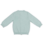 Een mooi fijn gebreid vestje in de kleur zachtgroen. Dit vestje komt uit de collectie Pretty Knit Stone Green van Jollein. Het vestje is voorzien van knoopjes en gemaakt van biologisch katoen.