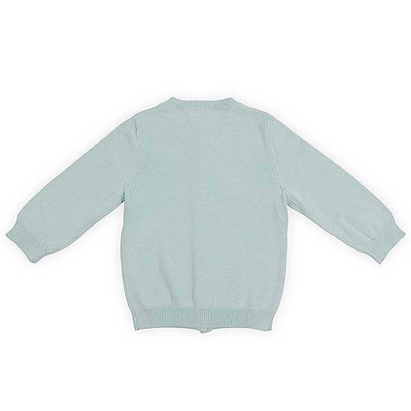 Een mooi fijn gebreid vestje in de kleur zachtgroen. Dit vestje komt uit de collectie Pretty Knit Stone Green van Jollein. Het vestje is voorzien van knoopjes en gemaakt van biologisch katoen.