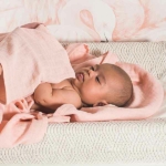 Deze leuke monddoekjes c.q. spuugdoekjes uit de collectie Bamboe van Jollein, zijn fijn om te gebruiken bij het voeden van de baby. De doekjes worden geleverd in 2 designs: 2x donker roze & 1x lichtroze.