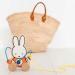 Met deze rollende kralenbaan van Bambolino laat je de allerkleinsten al op jonge leeftijd plezier maken. Laat je kleine op verkenning gaan met het Nijntje Trekfiguur van Bambolino Toys!