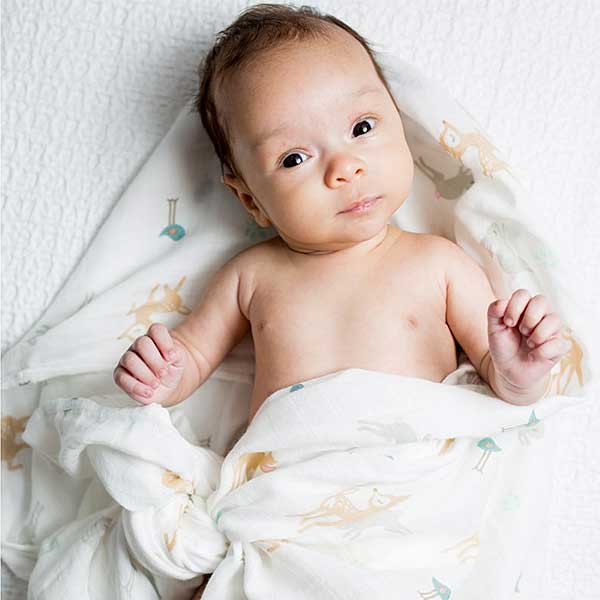 Deze Lulujo swaddle heeft een royaal formaat van 120 x 120 cm en is gemaakt van een hoge kwaliteit 100% dubbellaags katoenen mousseline. Deze swaddle heeft een leuke print van hertjes op een witte ondergrond. Mousseline katoen is licht, open geweven en ademend en daardoor warmte regulerend. Hoe vaker je de Lulujo producten wast hoe zachter ze worden en des te beter ze vocht opnemen!