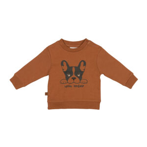 Een lieve shirtje/sweater in de kleur hazelnoot met een print van een bulldog uit de collectie Playtime van Frogs and Dogs met de tekst Loyal Friend.