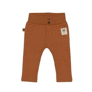 Een leuk broekje in de kleur hazelnoot uit de Playtime collectie van Frogs and Dogs. Broekje heeft 2 sierknoopjes op de broeksband zitten en aan de linker onderzijde een logo van Ollie.