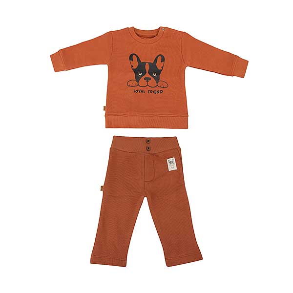 Een lieve shirtje/sweater in de kleur hazelnoot met een print van een bulldog uit de collectie Playtime van Frogs and Dogs met de tekst Loyal Friend.