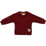 Deze aubergine kleurige sweater Leo Insert komt uit de collectie Winter Wild About You van Frogs and Dogs met een subtiele zwarte panterprint.