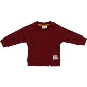 Deze aubergine kleurige sweater Leo Insert komt uit de collectie Winter Wild About You van Frogs and Dogs met een subtiele zwarte panterprint. 