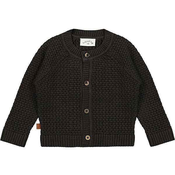 Een stoer en lief gebreid vestje in de kleur antraciet. Het vestje komt uit de collectie Playtime van Frogs and Dogs en is leuk te combineren met het bijpassende broekje.