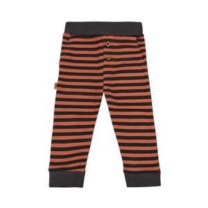 Een gestreept broekje in de kleuren bruin en zwart uit de Dino Park collectie van Frogs and Dogs. Een stoer broekje aan de zijkant 2 zakjes en een elastische broeksband.
