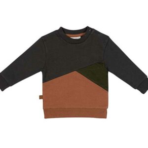 Sweater Dino Park Colour Block - Bruin/Grijs - Frogs and Dogs