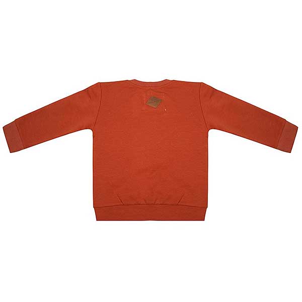 Dit mooie sweater lange mouw Boho Volant Picante met volant in de kleur roestbruin komt uit de collectie van Little Indians. Gemaakt van biologisch katoen.