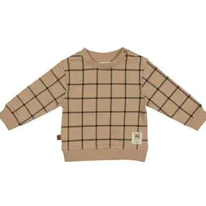 Een stoere sweater in de kleur beige met een print van blokken in de kleur bruin. Deze sweater komt uit de collectie Playtime van Frogs and Dogs.