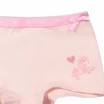 Dit leuke roze setje met ondergoed Horse van FunderWear. Het setje bestaat uit 2 onderbroekjes en 1 hemdje. Beide onderbroekjes hebben een andere print. Gemaakt van zacht katoen.