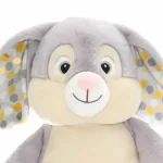 Clovis Brampton Grey Bunny Polka Dot is een heel lief en zacht knuffelkonijn. Hij heeft een grijs lichaam met een pluizige grijze staart. Zijn vacht is lekker zacht en hij heeft grote slappen oren met aan de binnenkant gekleurde stippen. Zijn wangen zijn schattig mollig en hij heeft grote grijze ogen.