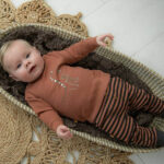 Deze stoere sweater Dinosaur komt uit de collectie Dino Park van Frogs and Dogs. De sweater is bruin van kleur en op de voorkant staat een leuke dino geprint. Op de linkerschouder zitten drukkertjes om het makkelijker aan en uit te trekken over het hoofdje.