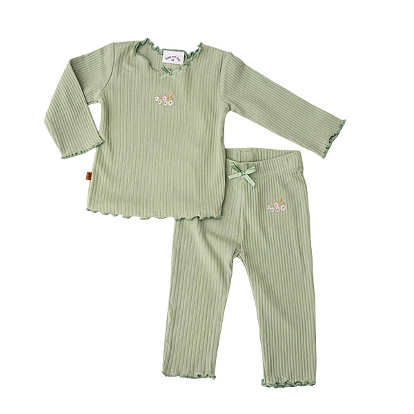 Dit leuke groene shirtje met lange mouw komt uit de Spring Summer Crush collectie van Frogs and Dogs. Op de voorkant van het shirtje zijn schattige besjes geborduurd in een roze kleur. Het shirtje is gemaakt van rib stof. De hals, mouwen en onderkant is afgezet met een geborduurde rand. Hierdoor krijg je een speelse geschulpte rand.