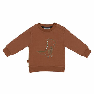 Deze stoere sweater Dinosaur komt uit de collectie Dino Park van Frogs and Dogs. De sweater is bruin van kleur en op de voorkant staat een leuke dino geprint. Op de linkerschouder zitten drukkertjes om het makkelijker aan en uit te trekken over het hoofdje.