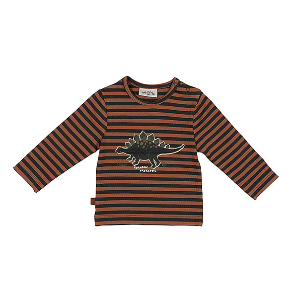 Dit stoere shirt met lange mouw in de kleur bruin/zwart gestreept komt uit de collectie Playtime van Frogs and Dogs. Op de voorkant van het shirt staat een Dino met de tekst Jurassic Fantastic.