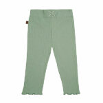 Deze mooie groene legging komt uit de Spring Summer Crush collectie van Frogs and Dogs. De legging is gemaakt van zachte rib stof. De legging heeft een elastische band met een klein sierstrikje aan de voorzijde. De pijpjes zijn enkel geborduurd, hierdoor krijg je een speelse geschulpte rand.