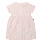 Dit schattige poeder roze jurkje komt uit de Spring Breeze collectie van Frogs and Dogs. Het jurkje is gemaakt van zacht katoen en is gemaakt van gestreepte stof in de kleuren poeder roze & wit. De hals is afgewerkt met een leuk kraagje en aan de voorzijde zitten een aantal knoopjes. Het jurkje heeft korte mouwen hebben een gezoomde rand. Op de voorzijde van het jurkje zitten 2 zakjes.
