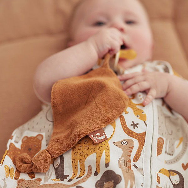 Dit lieve speendoekje Biscuit in de vorm van een blad is gemaakt van badstof en komt uit de Basics collectie van Jollein. Aan de punt van het blaadje zit een knoopje waar je baby lekker aan kan friemelen om in slaap te vallen. Het speendoekje is gemaakt in de kleur bruin en is super handig om aan het speentje van jouw kleintje te hangen. Het speentje raakt minder snel kwijt en is meteen een knuffelvriendje wat geborgenheid geeft.