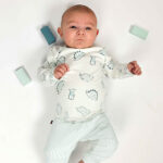 Babyshirt lange mouw met dino-print in gebroken wit uit de NiceTeam collectie van Frogs and Dogs