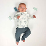 Babyshirt lange mouw met dino-print in gebroken wit uit de NiceTeam collectie van Frogs and Dogs