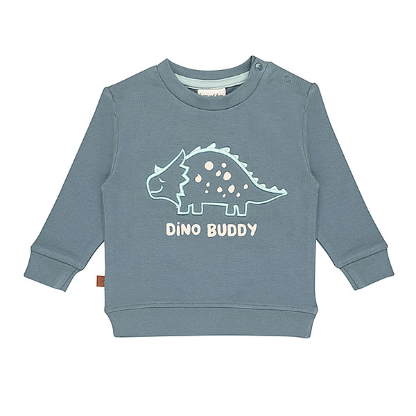Groene sweater met geborduurde dino en tekst 'Dino Buddy' – Frogs and Dogs Nice Team collectie