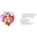 Cubbies Signature Collection