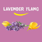 Happy Earth shower bar lavender ylang met natuurlijke oliƫn