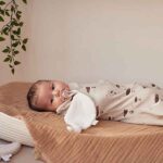 Jollein cocon slaapzak Goose Nougat met gansjesprint voor newborns