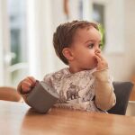 Waterproof slabben Pimpelmees Forest Animals van Jollein met bosdieren print geleverd als set van twee stuks