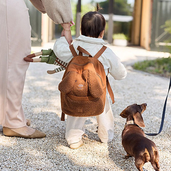 rugtas peuter teddy hond Diego bruin met oortjes zachte kinderrugzak