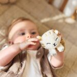 Polsrammelaar Charlie the Cat uit de Tiny Park collectie van Jollein voor baby's