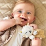 Polsrammelaar Charlie the Cat uit de Tiny Park collectie van Jollein voor baby's